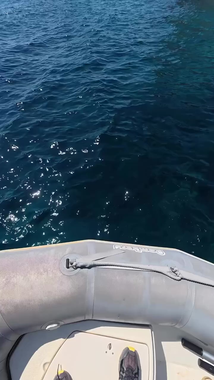 Vidéo